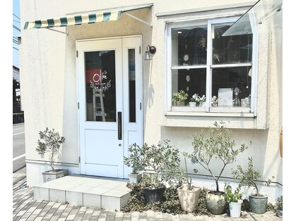 オリーブ(Olive)の写真