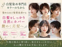 カラーのちから パルネス豊明店の雰囲気（特殊処方「酢酸カラー」）