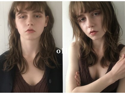 オリ(oli)の写真