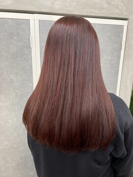 ドレスヘアーガーデン(DRESS HAIR GARDEN) ブリーチ無しWカラー × burgundy