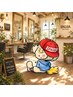【梅雨時期限定クーポン】カット＋夏トレンドカラー＋ヘッドスパ　￥10.000