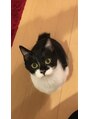 エヌ トーキョー(enu TOKYO) 猫2匹と一緒に生活してます。