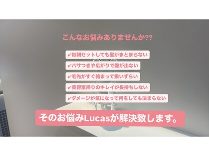 ルーカス(Lucas)の写真
