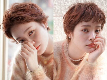 クレール グラン 富塚(ｃｌａｉｒ，ｅ gran)の写真