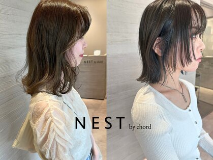 ネストバイコード(NEST by chord)の写真