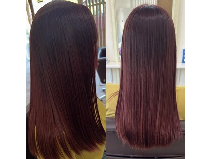 ウォルト(Walt)の写真