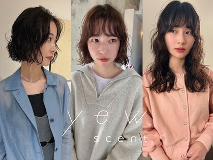 ユー セント(yew scent)の写真