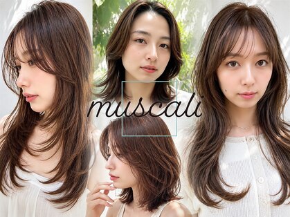 マスカリ(muscali)の写真