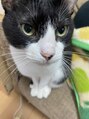 髪匠 りのん&nbsp;猫
