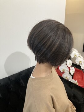 シックス(NO.6) 中明度ハイライト