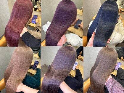 カルマ(KARMA)の写真