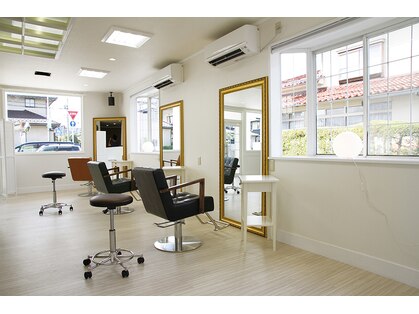 アフロデイーテ(aphrodite)の写真