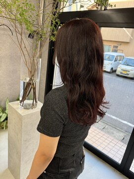 SSAW ボルドーカラー