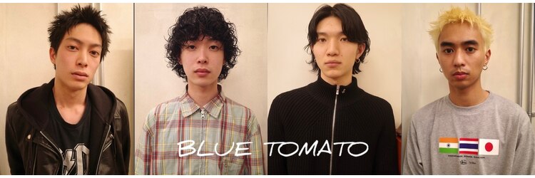 ブルートマト(BLUE TOMATO)のサロンヘッダー