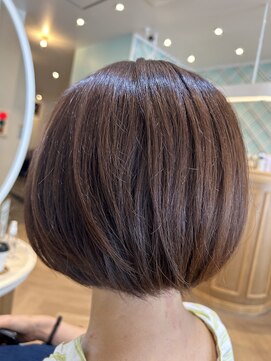 アンフィ 矢向(Anphi) 5-79 ボブ