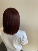 アディクシーカラー パープルガーネット×レッド