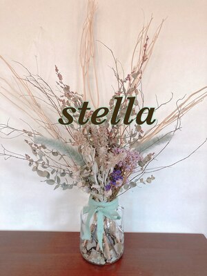 ステラ(stella)