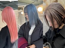 シダ(sida)