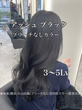 アルドーレ(Ardore) 色落ちまで綺麗に☆透明感アッシュブラック☆【小山田 繭】