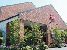 アン アオヤマ(Ann AOYAMA)