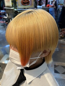 アドネス(ADNESS) デザインカラー