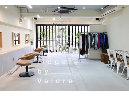 リッジ(ridge)の写真