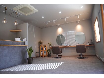 カランコエ(kalanchoe)の写真