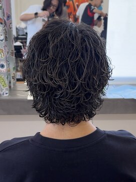 ビカム 名駅(become) 【サーフカールパーマ 】メンズウルフセンターパートコンマ