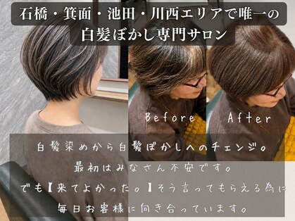 ハロー(Hollow)の写真