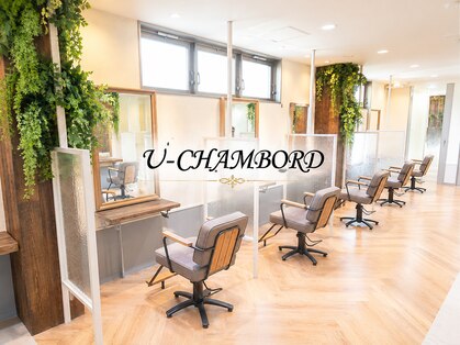 ユーシャンボール(U-CHAMBORD)の写真