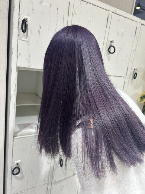 《 sakura 》艶感 blue lavender