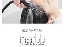 ソワー(SOWER)の雰囲気（魔法のバブルで本当の素髪に出会える【松本/南松本/髪質改善】）