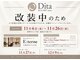 ディータ(Dita)の写真