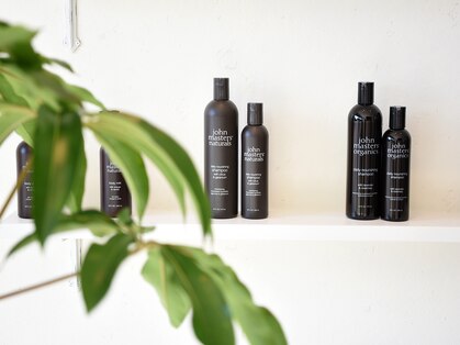 マロウ(mallow)の写真