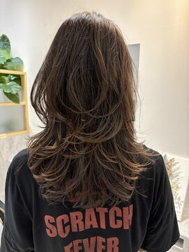 ミモザ(Mimosa) Mimosa ラフレイヤー