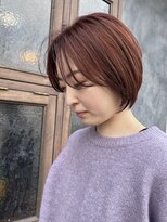 クララデアンシュシュ(Kurara de UN CHOU CHOU)&nbsp;アプリコットオレンジ