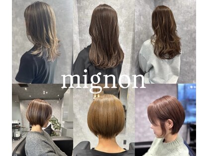 ミニョン(mignon)の写真