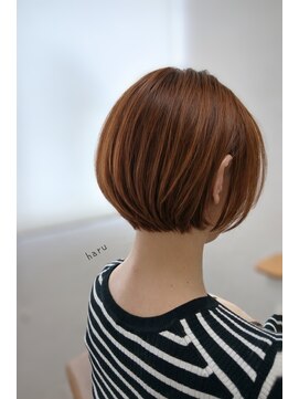 ベアーズ1 シヨートボブ