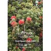 レフア(Lehua)のお店ロゴ