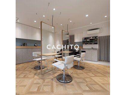 カチート(CACHITO)の写真