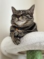 時 美容室(toki) 我が家の子猫☆5月生まれのメス♪優しくて人懐っこいです(^^)