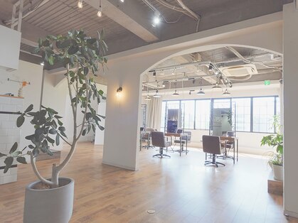 シエナ(CIENA)の写真