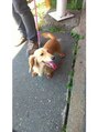 カプセル シンジュク(CAPSULE) 愛犬のくーちゃんです(^^)