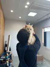 アトリエ オォ(Atelier Oo)&nbsp;コヤナギ 