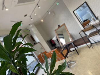 ヘアカラー専門店 for color