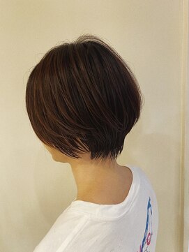 アプレ(appeler) ミニカット ブラウンカラー