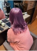 ピンクラベンダー
