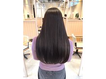 シダ(sida)