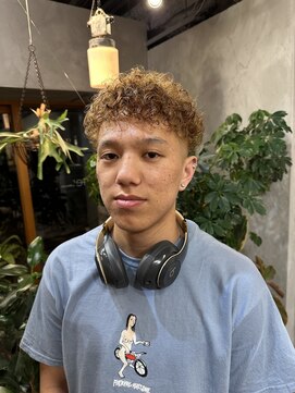 エヌイー(ne' by MAULOA) プードルショート