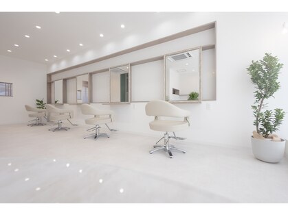 ミトカ(mitoka)の写真